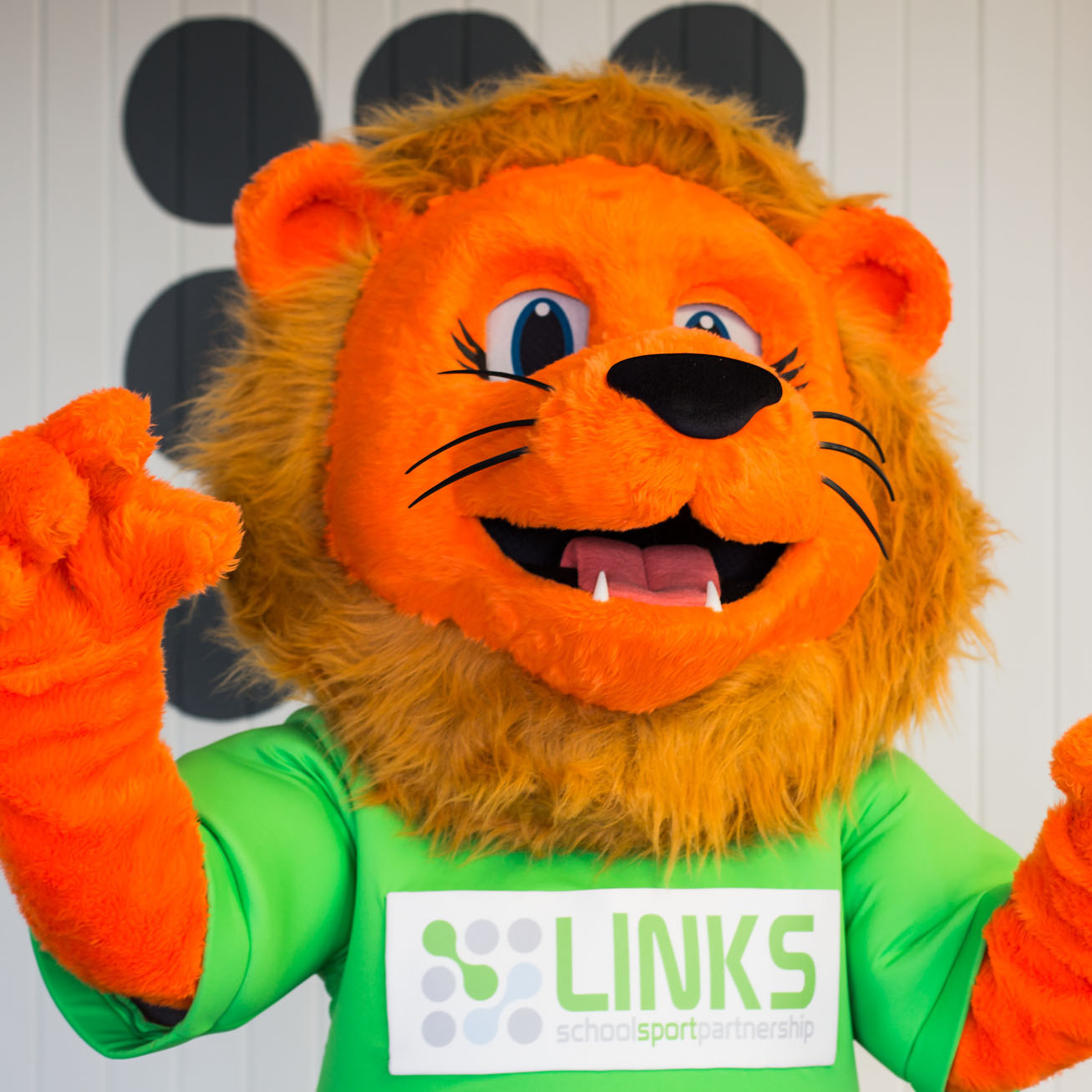 Linken the Lion